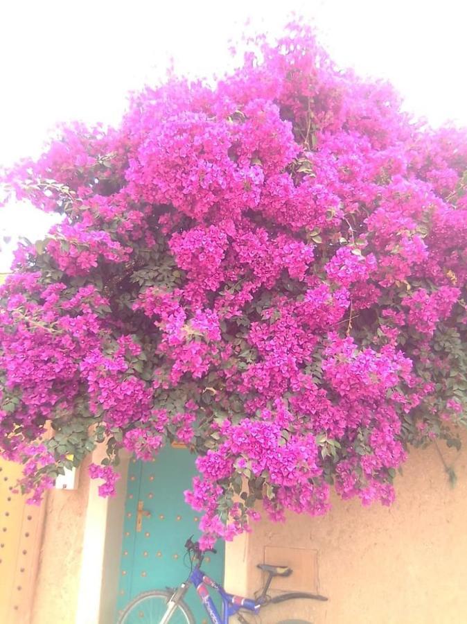 Riad Zidania Taroudant Bagian luar foto